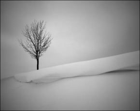 Černobílá poezie - Fotograf roku - Kreativita - " Na šikmé ploše "