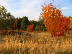 Má nejkrásnější krajina - Ach ty barvy podzimu...