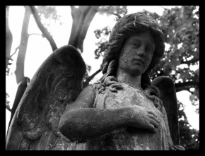 Dana Rouhová - Něžný pohled mého anděla