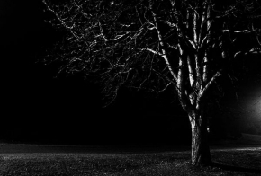 Večer a noc ve fotografii - Fotograf roku - kreativita - Nočný gaštan