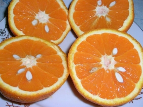 Jídlo a pití - Pomeranče