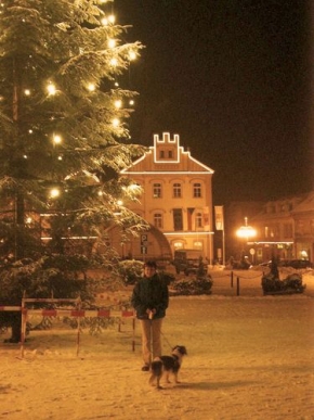 Večer a noc ve fotografii - Vánoční strom