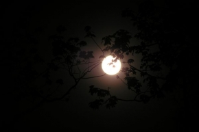 Večer a noc ve fotografii - Měsíc