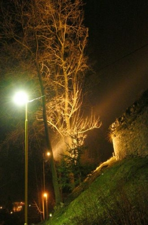 Večer a noc ve fotografii - Strom v noci