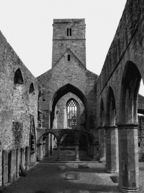Černobílá poezie - Sligo Abbey