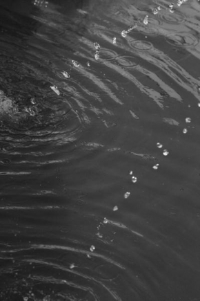 Černobílá poezie - Kapky vody