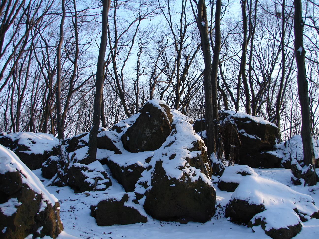 Kameny v zimě