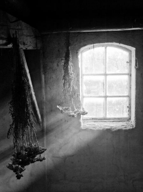 Černobílá poezie - Fotograf roku - Junior - U okna, na půdě...
