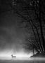 Robert Adamec -Mlha v Podzámecké