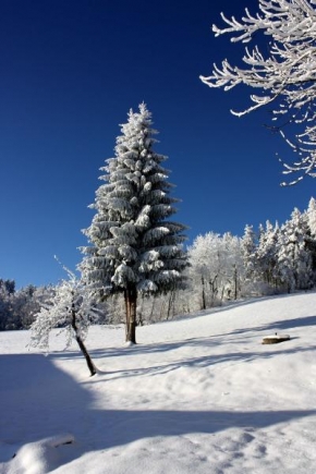 Krásy české a slovenské krajiny - Ladovská zima