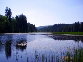 Krásy české a slovenské krajiny - Rybník v Novohradských horách