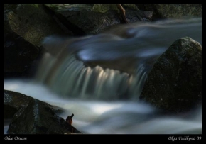 Fotograf roku v přírodě 2010 - Magic Water II