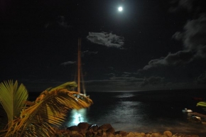 Michal Mlejnek - Karibik v noci