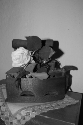 Černobílá poezie - Zátiší s růží
