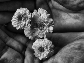Život květin - V hrsti