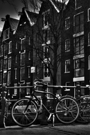 Fotograf roku na cestách 2010 - Amsterdame