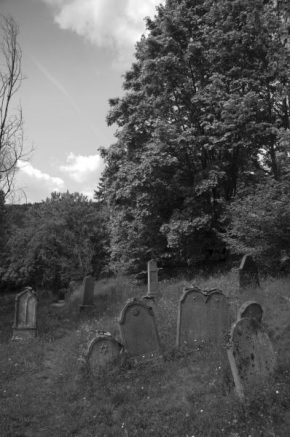 Černobílá poezie - Starý židovský hřbitov
