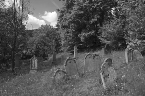 Černobílá poezie - židovský hřbitov nad Střelou