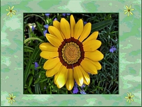 Život květin - Slunovrat