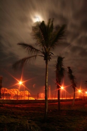 Večer a noc ve fotografii - Svetlá a palmy