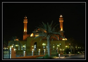 Fotograf roku na cestách 2010 - Velká mešita 1