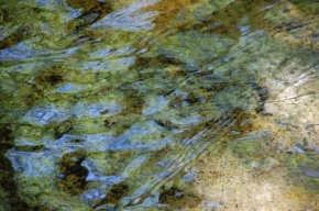 Fotograf roku v přírodě 2010 - Vodní jaspis