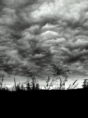 Fotograf roku v přírodě 2010 - Klid před bouří