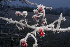 Šárka Nezvalová - Krásná zima