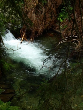 Fotograf roku v přírodě 2010 - Vodopády..