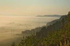 Fotograf roku v přírodě 2010 - Mlha v údolí