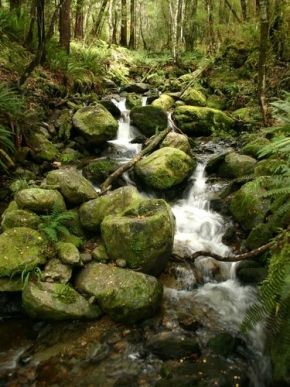 Voda je živel - Nelson National Park - Nový Zéland