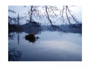 Krajina posedlá vodou - Sedlecký rybník