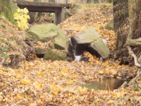 Krajina posedlá vodou - Podzim
