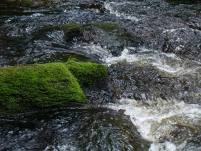 Radomíra Měkutová - Kámen a voda