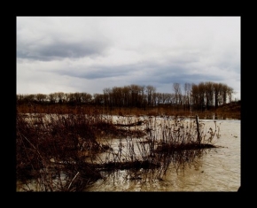 Voda je živel - Po povodni u Mělníka