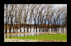 Voda je živel - Labe po povodni u Horních Počápel