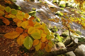 Krajina posedlá vodou - Podzim na Vydře
