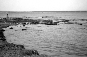 Aneta Chytilová - Šum moře