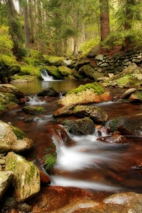 Krajina posedlá vodou - Zátiší Zeleného potoka