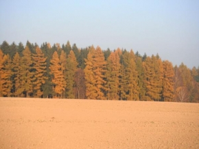 Fotograf roku v přírodě 2011 - Podzimní barvy