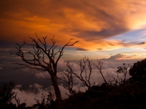 Slunce je veliký básník! - Gunung Kinabalu