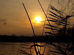 Martin Skála - Západ slunce nad rybníkem za rákosím