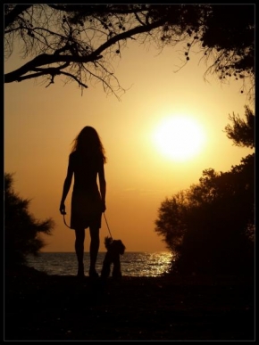 Slunce je veliký básník! - Dívka a pes
