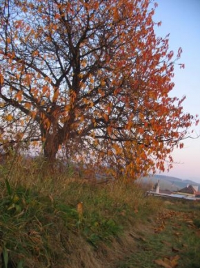 Má nejkrásnější krajina - Barvy podzimu