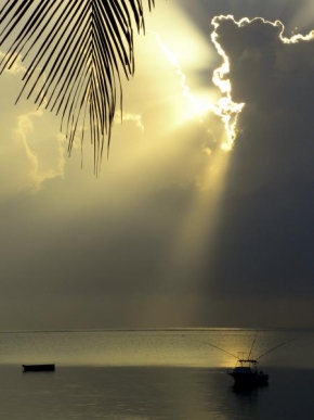 Slunce je veliký básník! - Fotograf roku - TOP 20 - Keňské probouzení