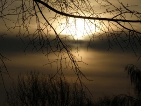 Slunce je veliký básník! - Sluneční záře za větvemi stromů
