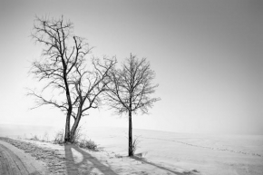 Aneta Coufalová - Zimní krajina