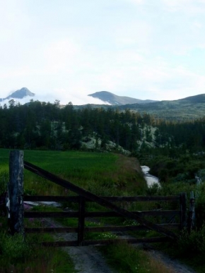 Fotograf roku v přírodě 2011 - Norská pohádka