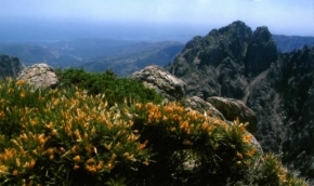 Fotograf roku v přírodě 2011 - Korsika 1