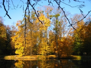 Stromy v krajině - Podzim